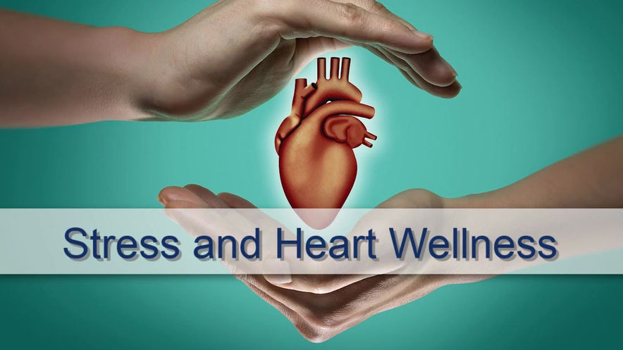 Stress and Heart Wellness Introduction